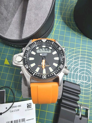 Citizen men maine promaster - men's,